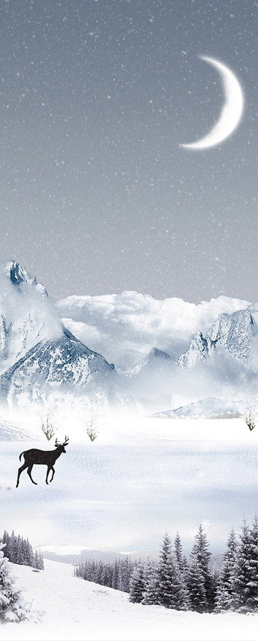 3D moon in the snow door mural Wallpaper AJ Wallpaper