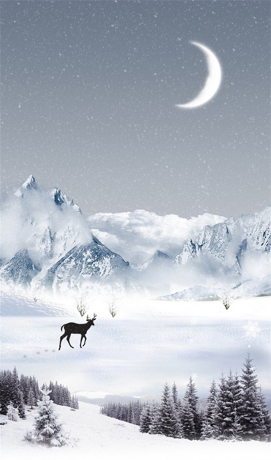 3D Snow Field Starry Sky 763 Stair Risers Wallpaper AJ Wallpaper