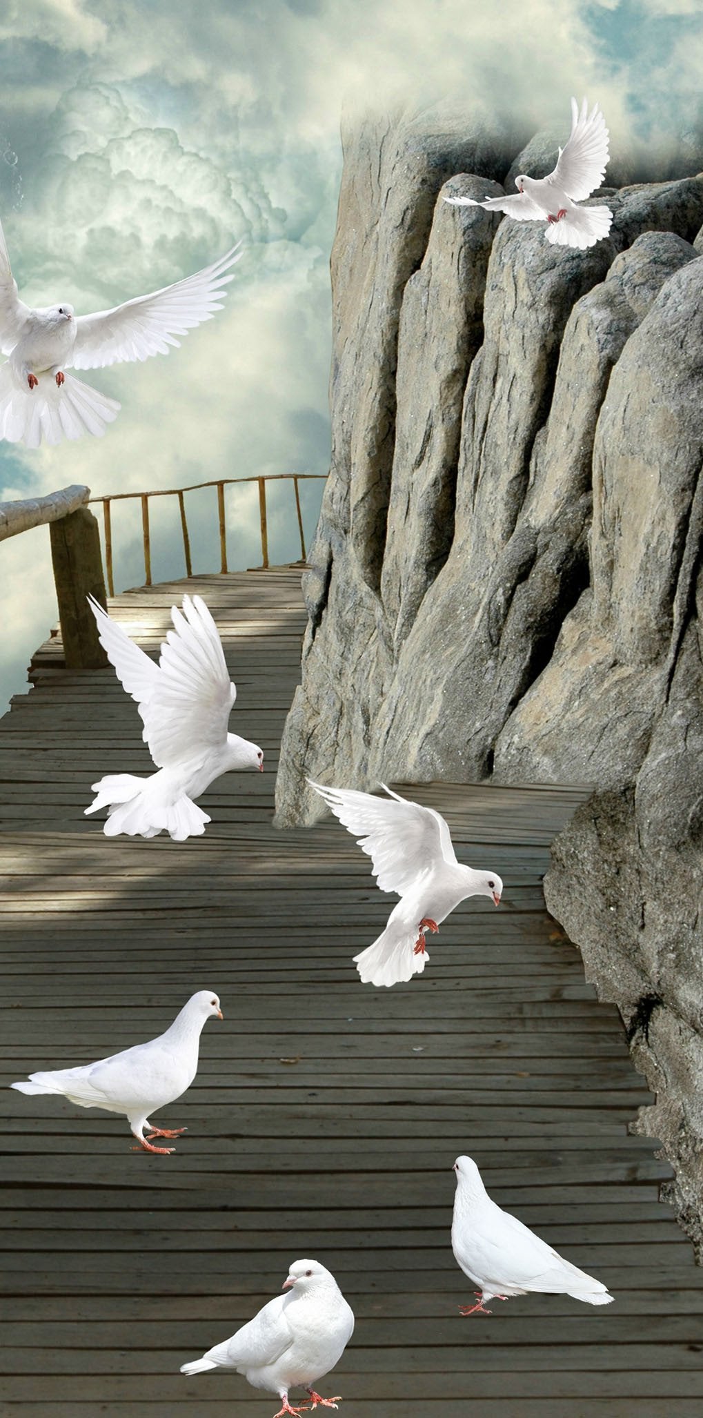 3D Wooden Road Birds 1287 Stair Risers Wallpaper AJ Wallpaper