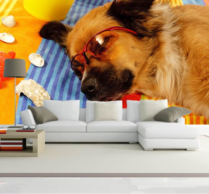 Sleeping Dog Wallpaper AJ Wallpaper