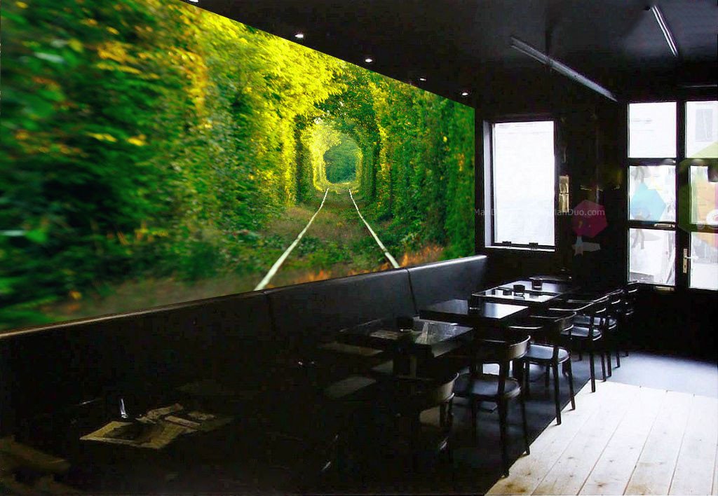 Neat Trees Wallpaper AJ Wallpaper