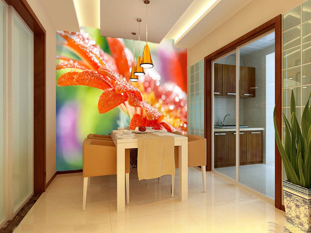 Covered With Dew Wallpaper AJ Wallpaper