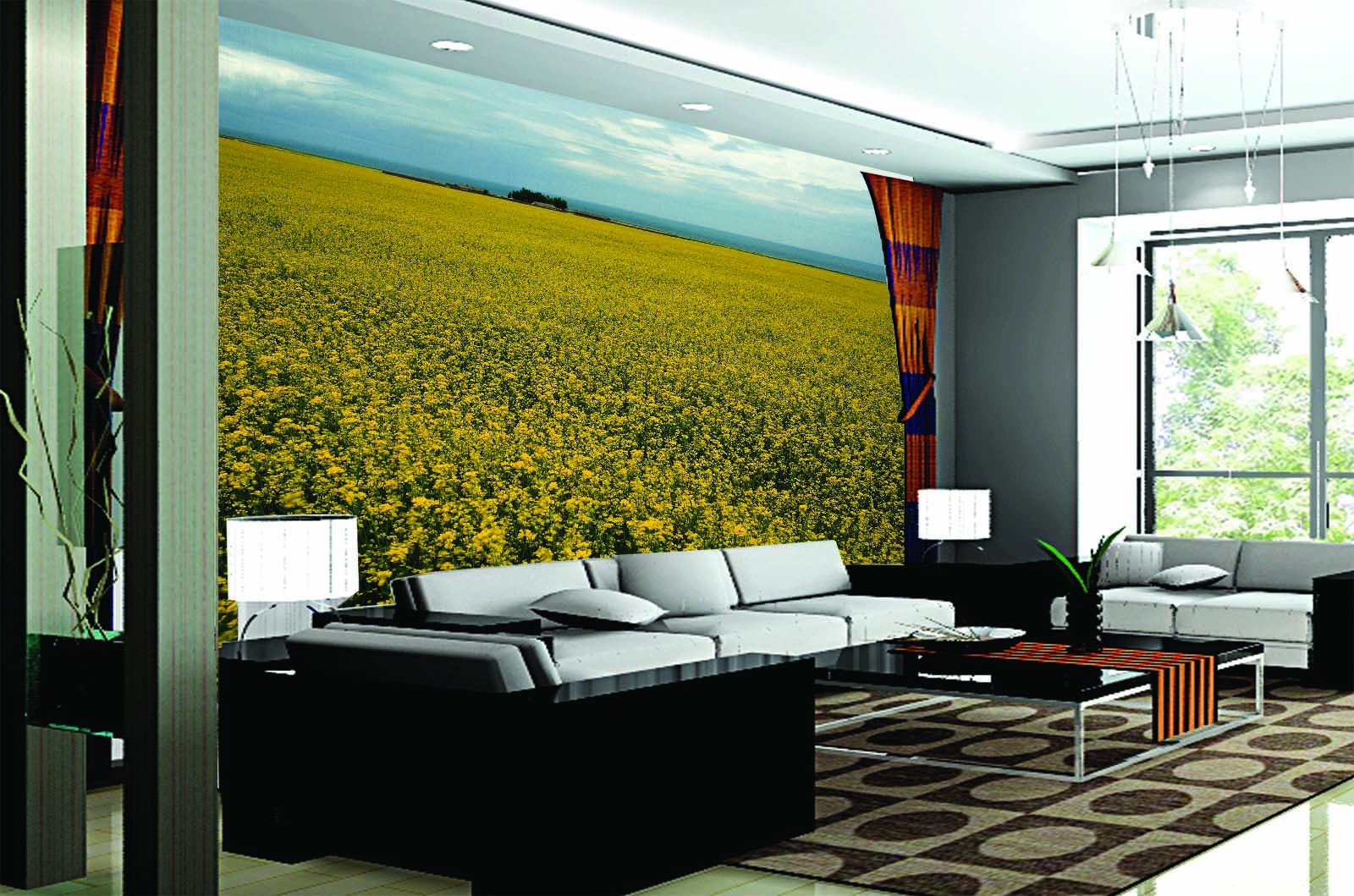 Boundless Rape Flower Fields Wallpaper AJ Wallpaper