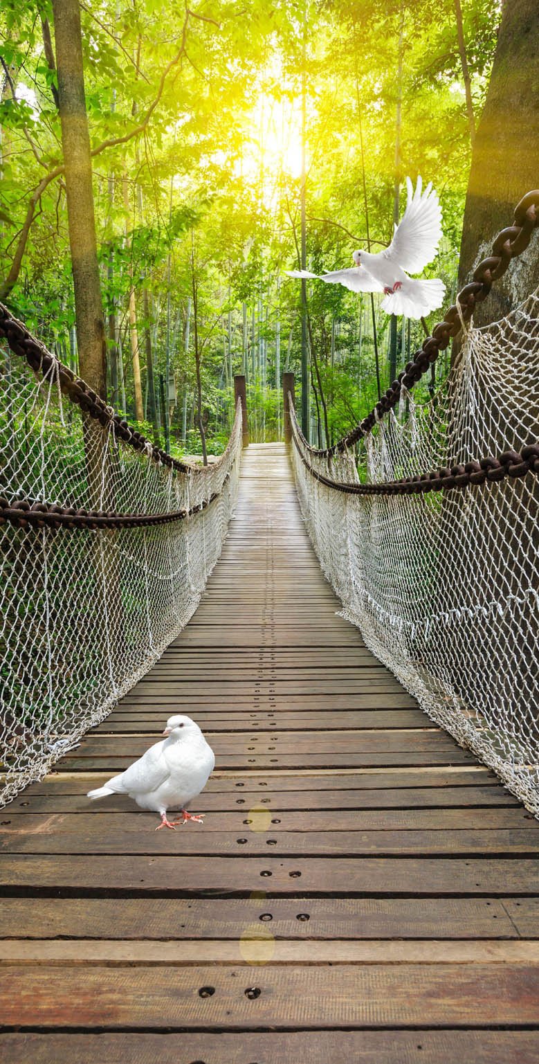 3D dove the forest suspension bridge door mural Wallpaper AJ Wallpaper