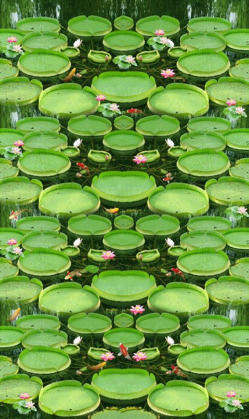 3D Pretty Lake Plants 761 Stair Risers Wallpaper AJ Wallpaper
