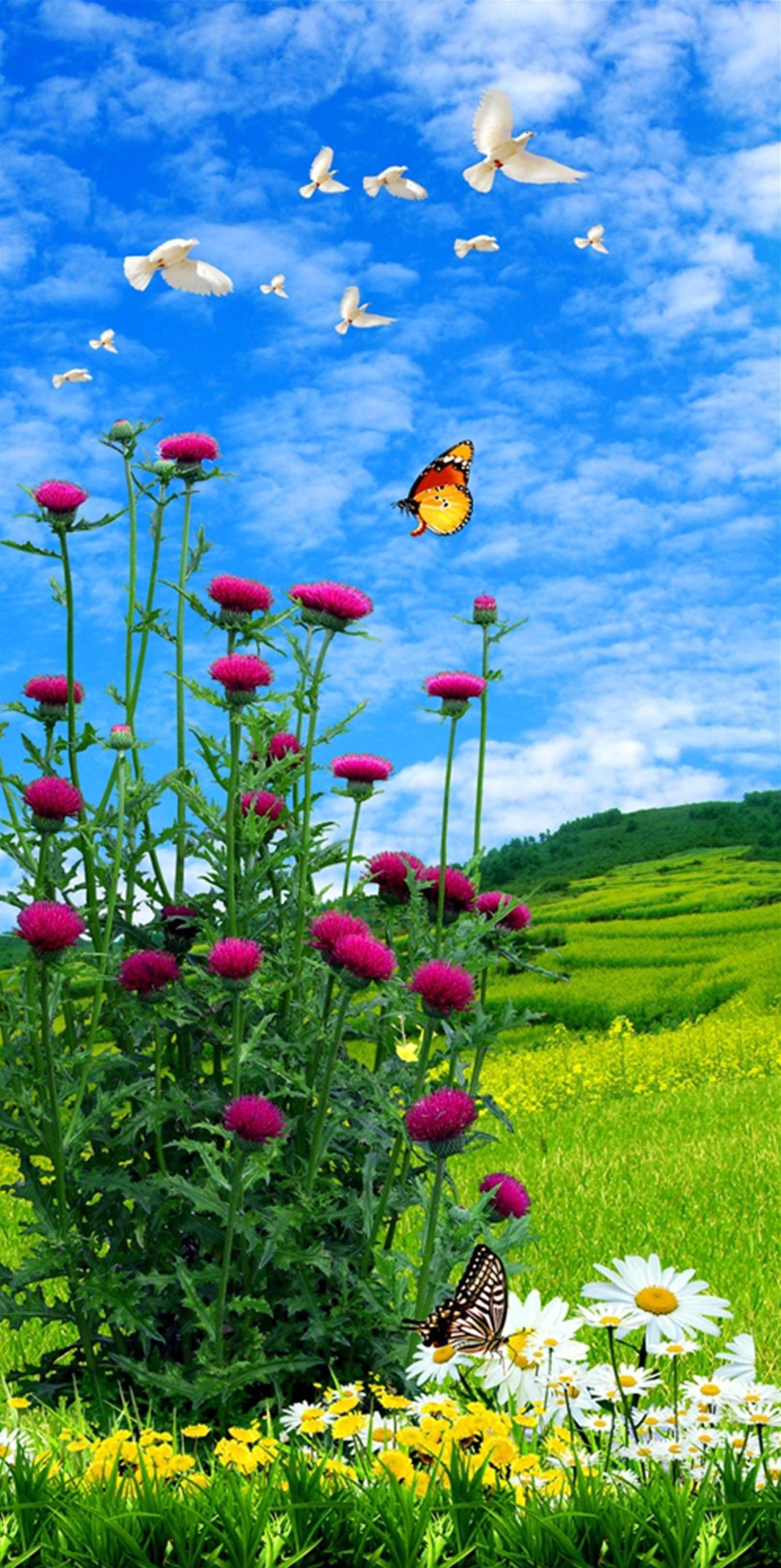 3D Flowers Butterflies Birds 1606 Stair Risers Wallpaper AJ Wallpaper