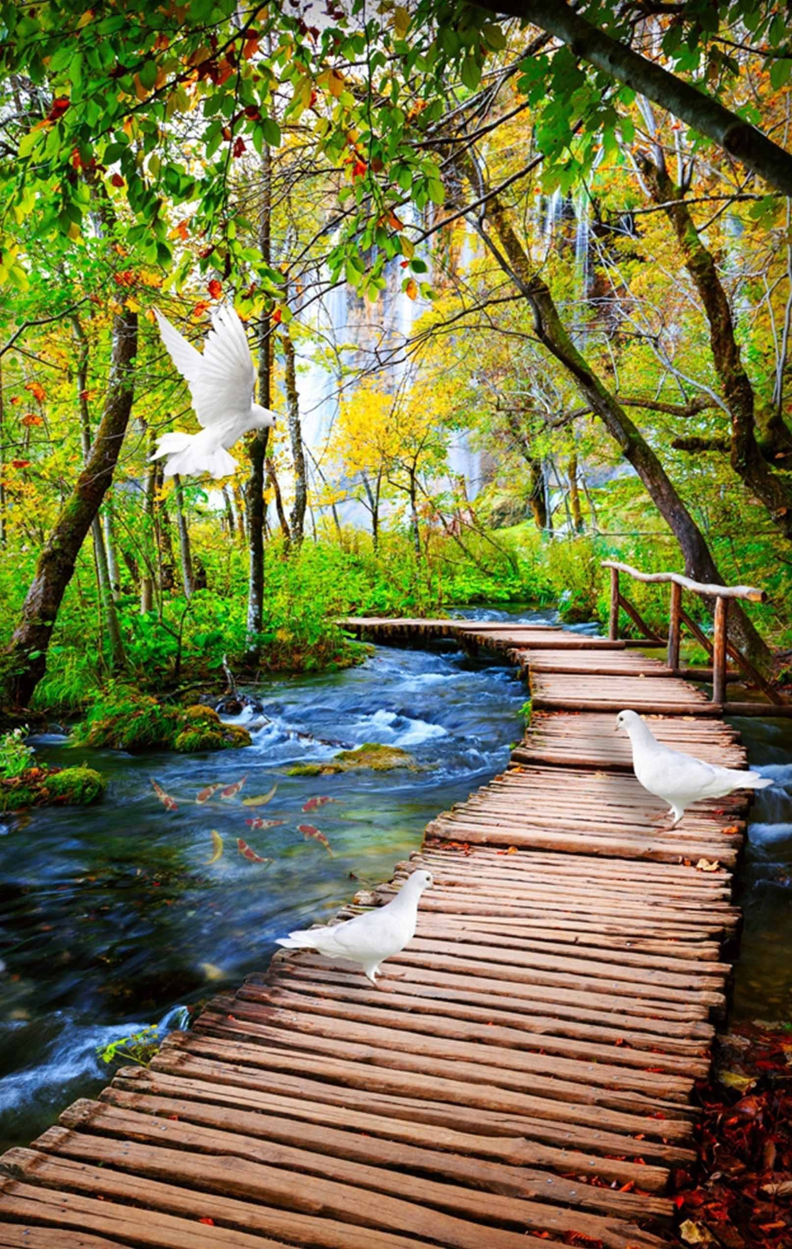 3D River Wood Bridge Doves 1338 Stair Risers Wallpaper AJ Wallpaper