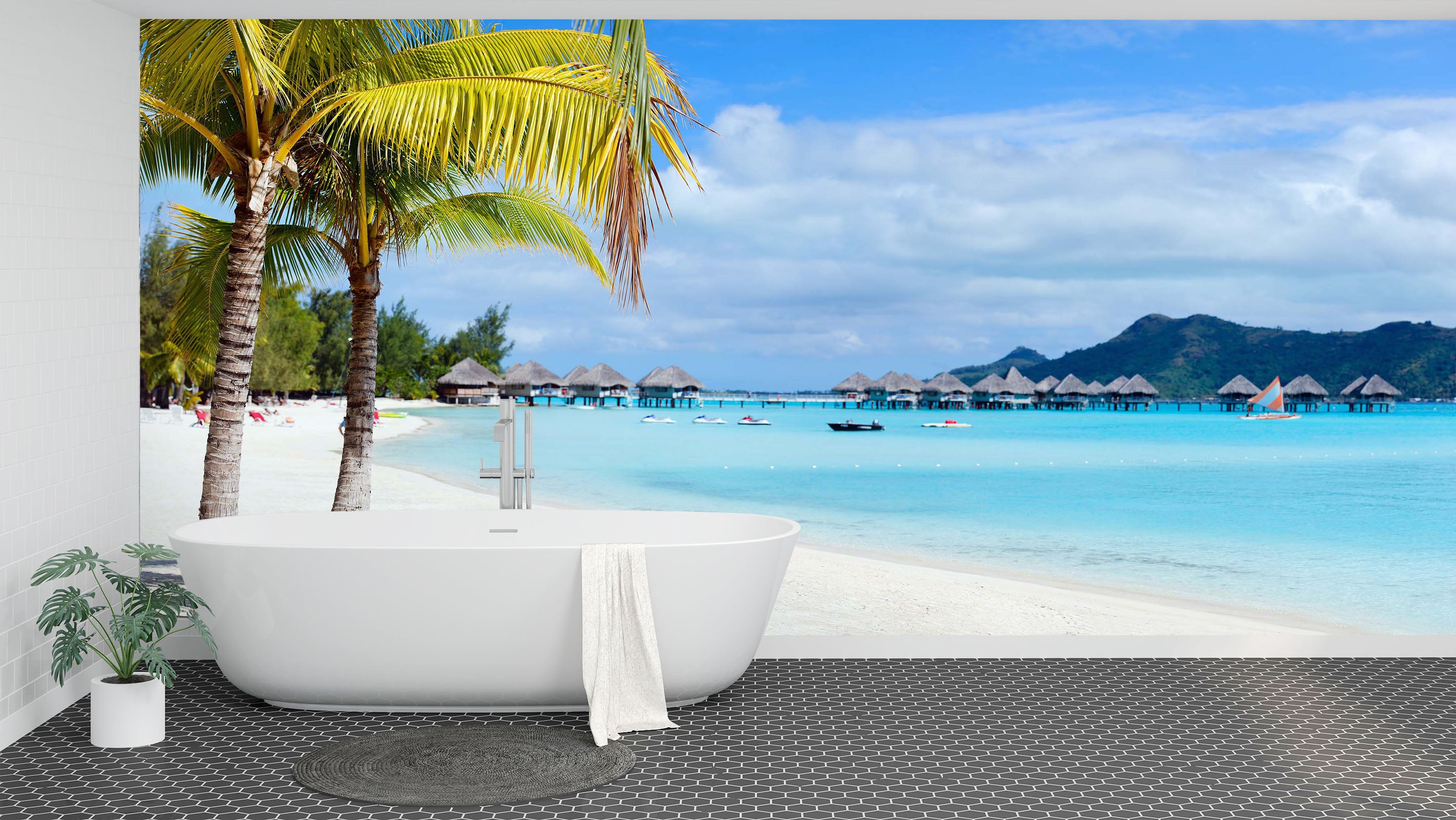 3D Coconut Palm Tree 1632 Wall Murals