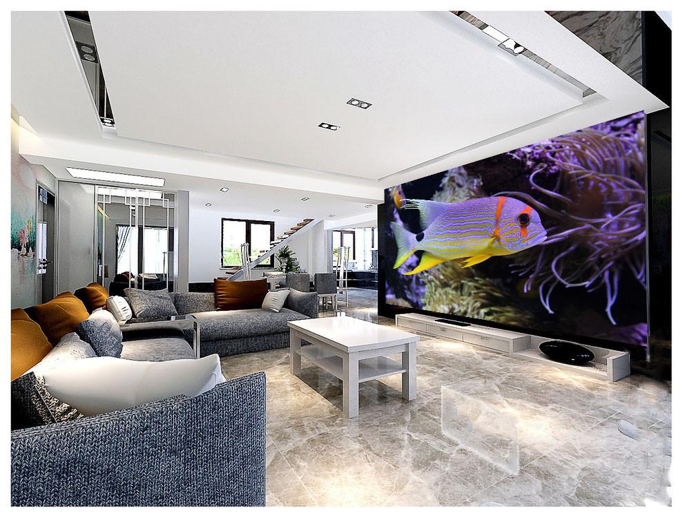 Beautiful Piebald Fish Wallpaper AJ Wallpaper