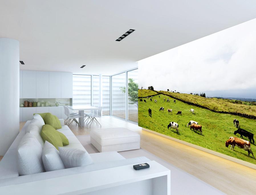 3D Grass Hill Cow 288 Wallpaper AJ Wallpaper