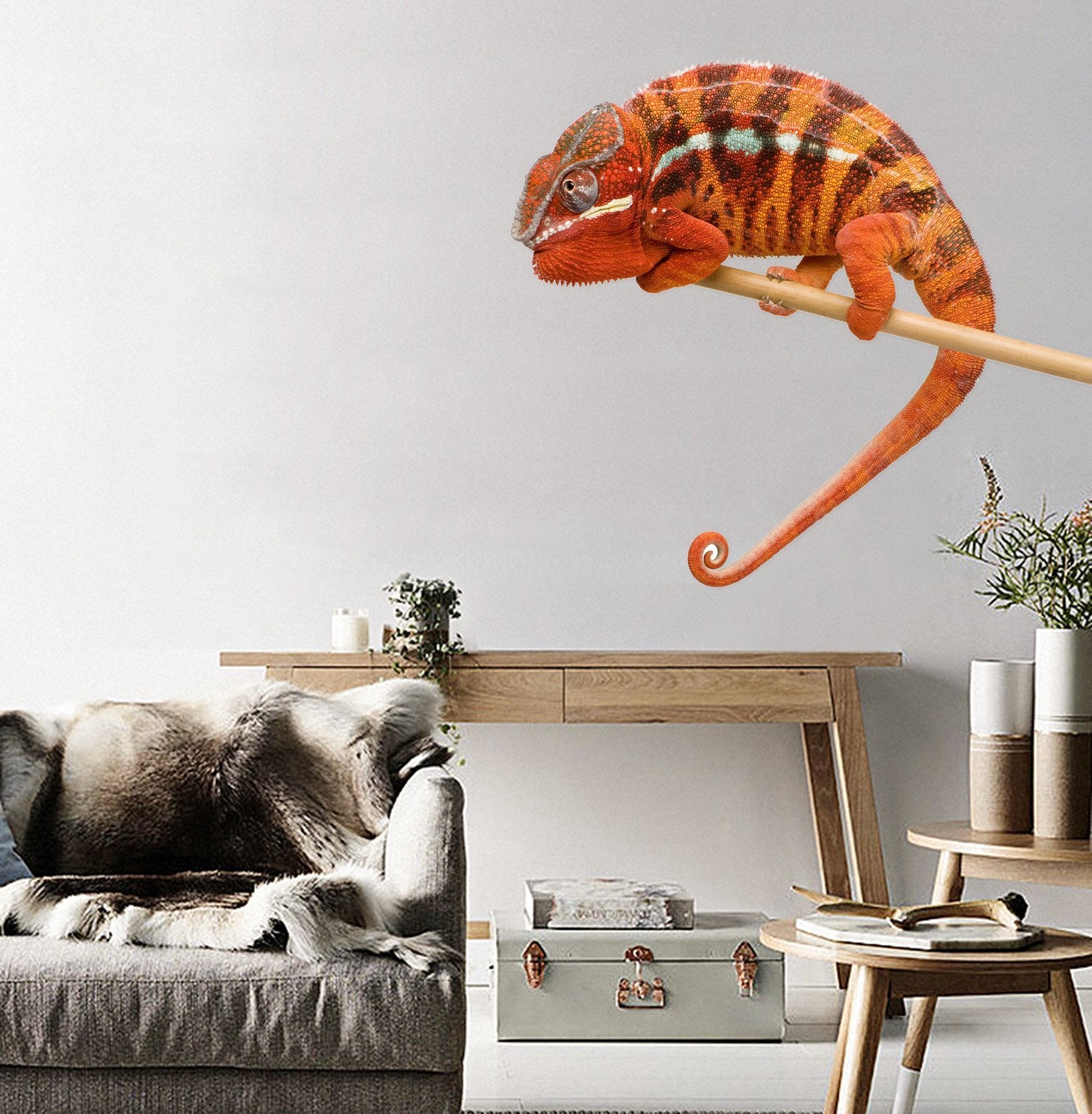 3D Chameleon 019 Animals Wall Stickers Wallpaper AJ Wallpaper
