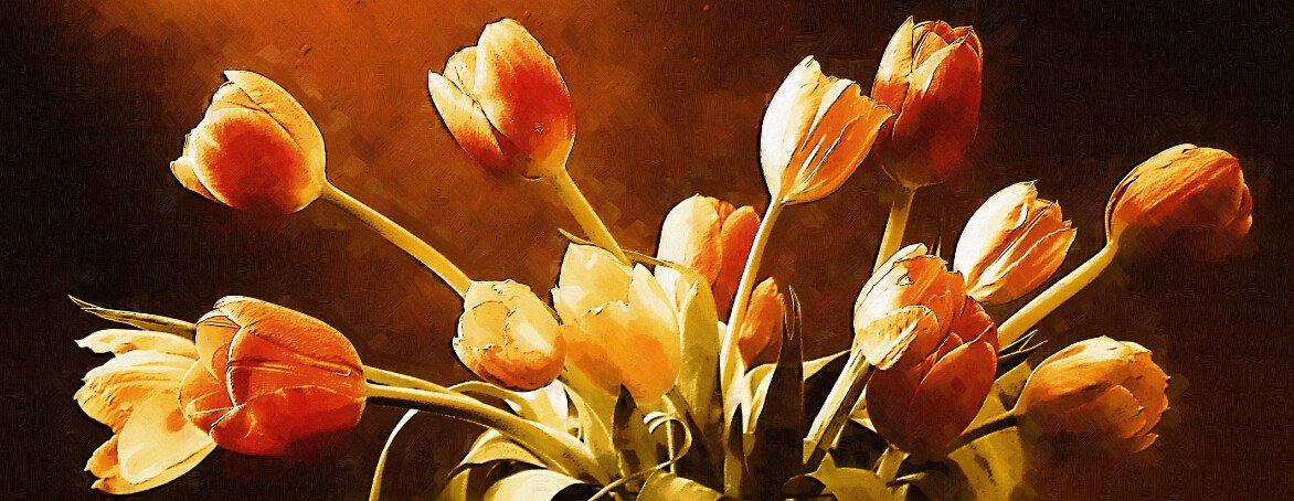 Bright Orange Tulips Wallpaper AJ Wallpaper
