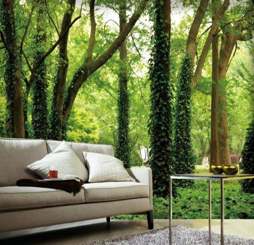 Forest Trees Wallpaper AJ Wallpaper