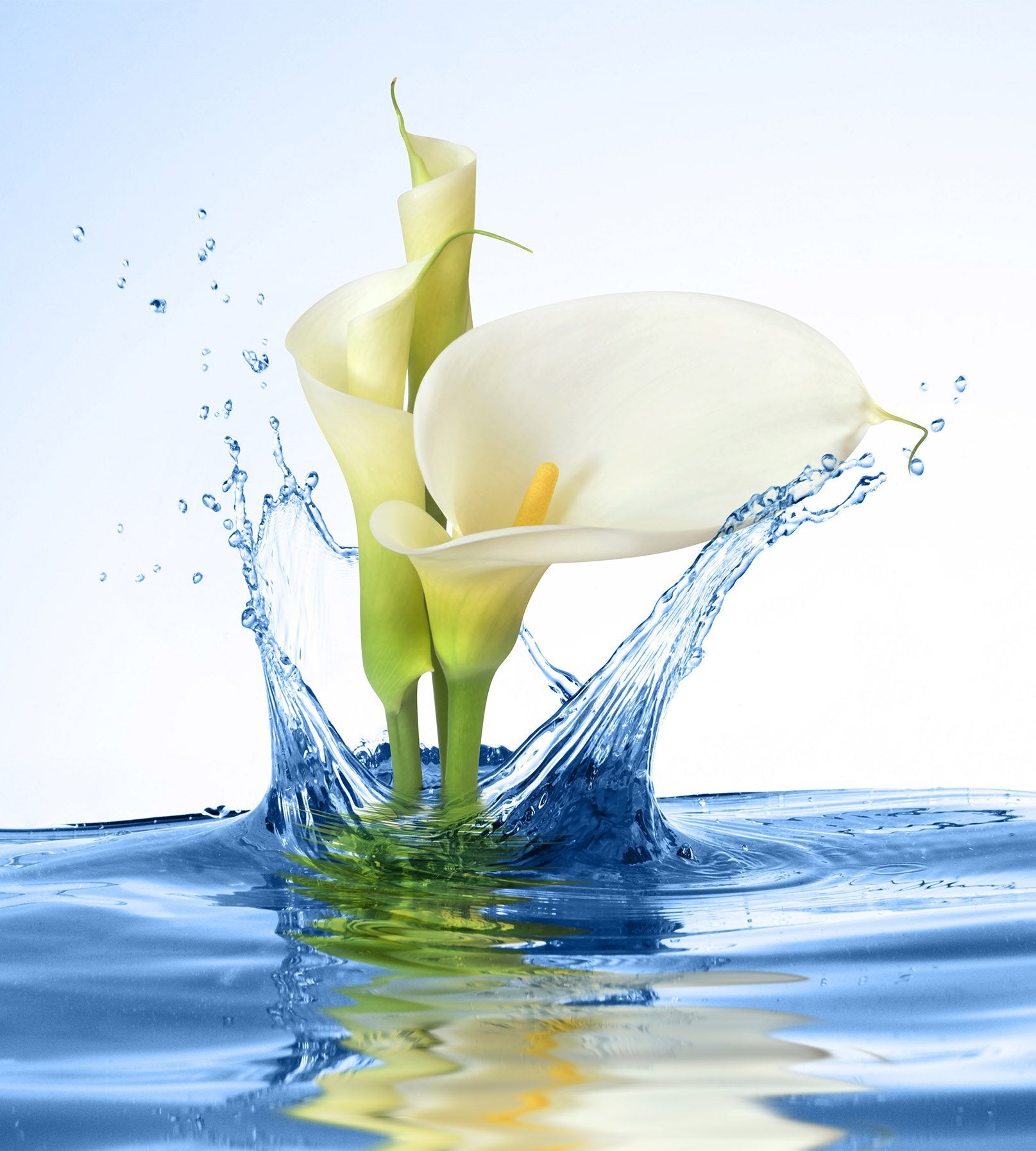 3D Lily Flower 115 Shower Curtain 3D Shower Curtain AJ Creativity Home