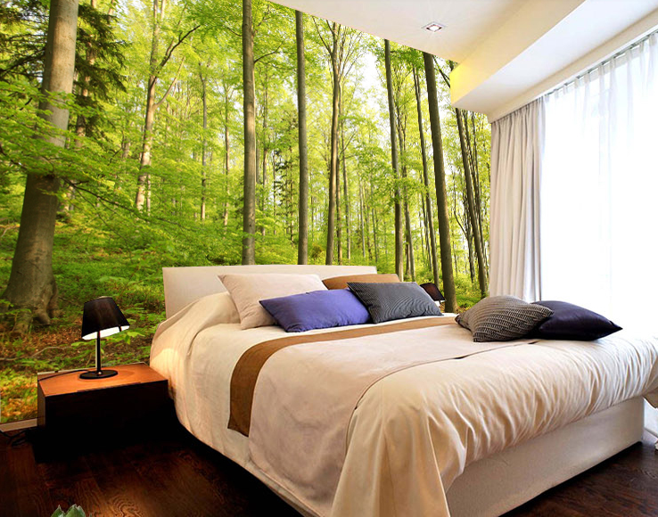 Forest Trees 1 Wallpaper AJ Wallpaper