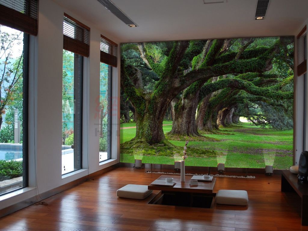 Giant Green Trees 772 Wallpaper AJ Wallpaper 1