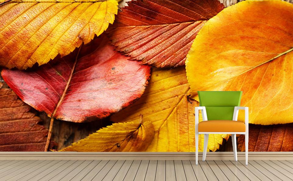 Colorful Leaves 3 Wallpaper AJ Wallpaper
