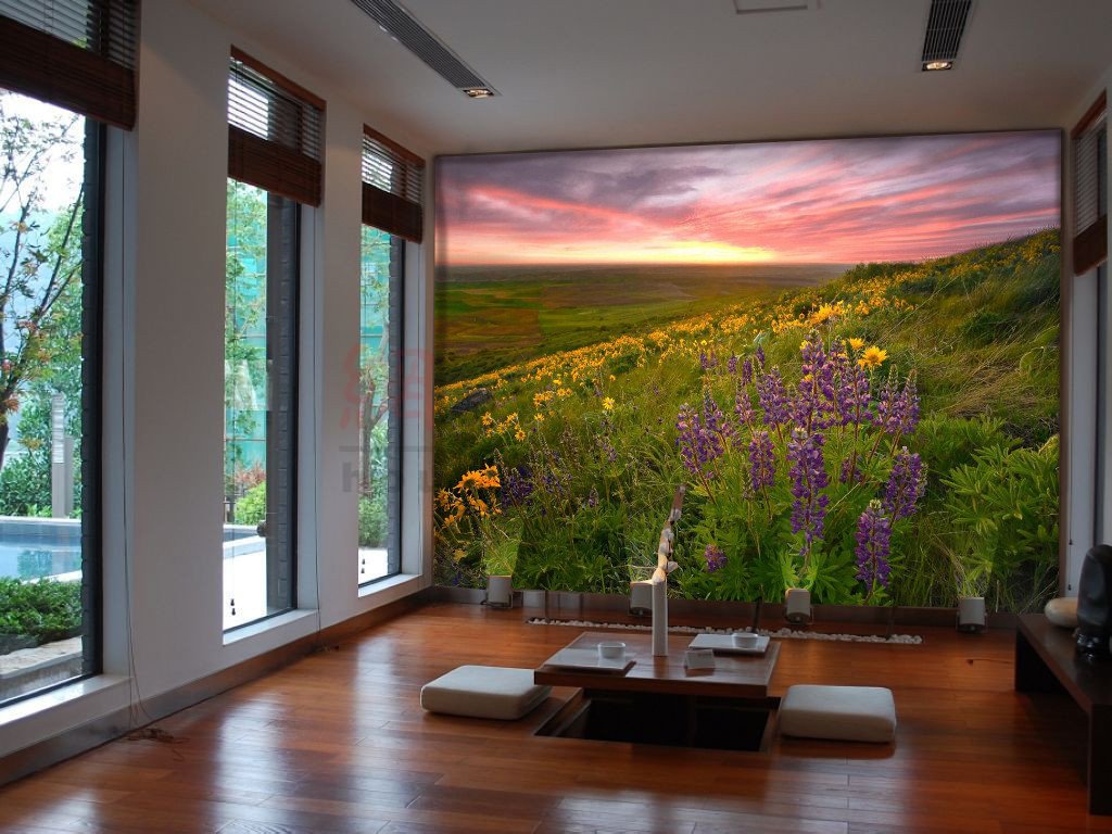 Green Hill With Lavender 92 Wallpaper AJ Wallpaper