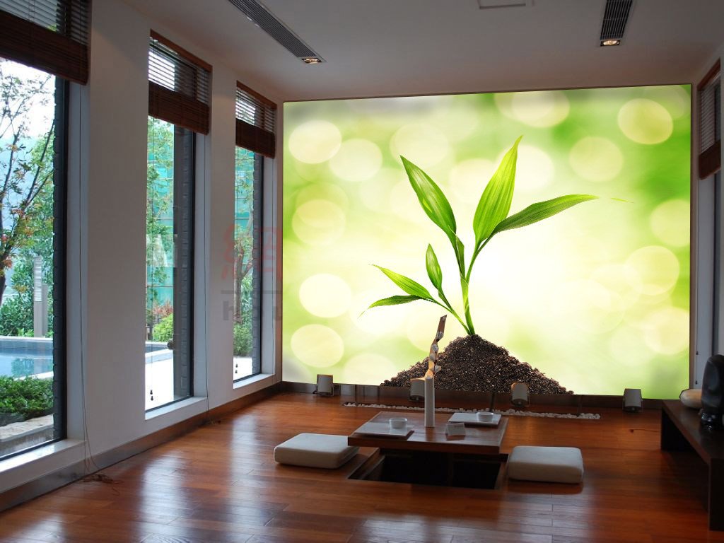 Green Plantle Wallpaper AJ Wallpaper