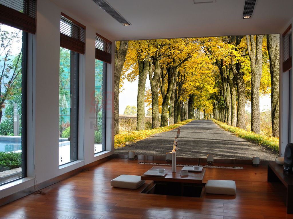 Rows Of Trees Wallpaper AJ Wallpaper