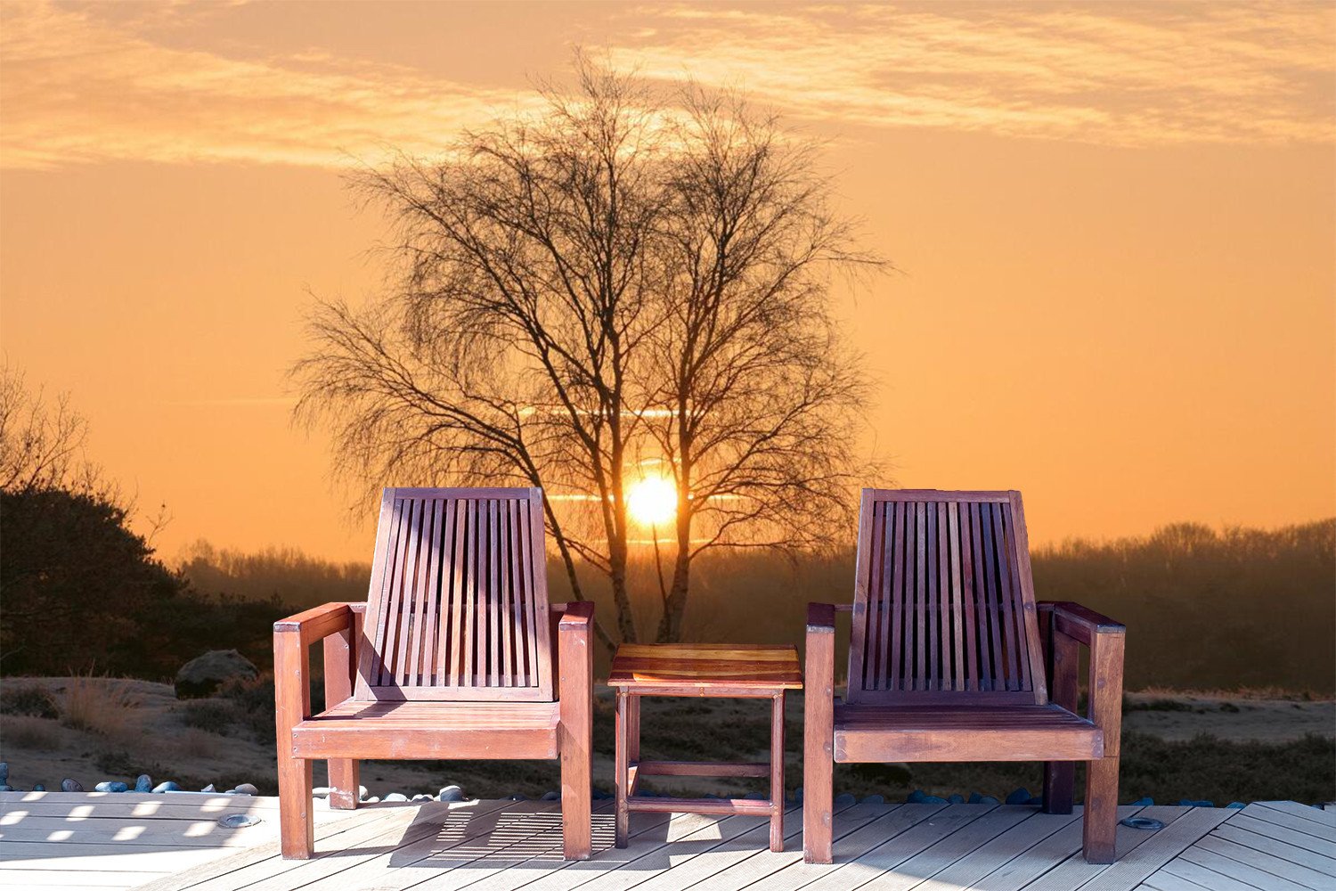 Sunset Glow Envelop One Tree 37 Wallpaper AJ Wallpaper