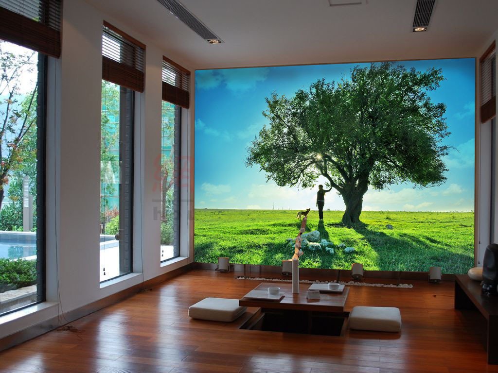 Boundless Pastures Wallpaper AJ Wallpaper