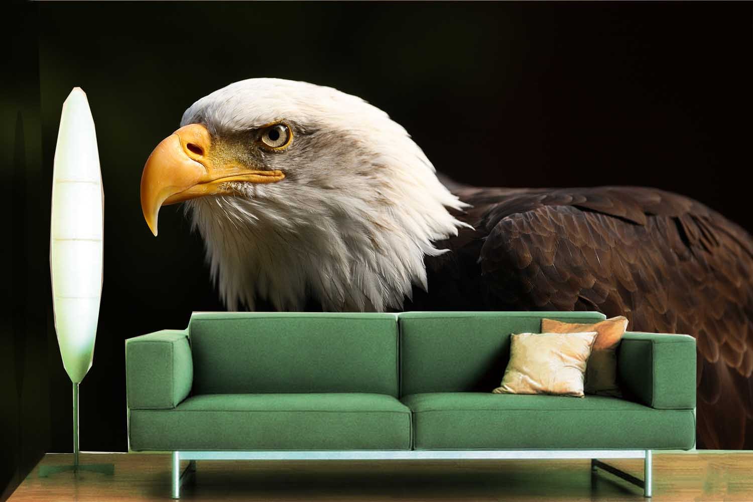 Beautiful Eagle 1 Wallpaper AJ Wallpaper