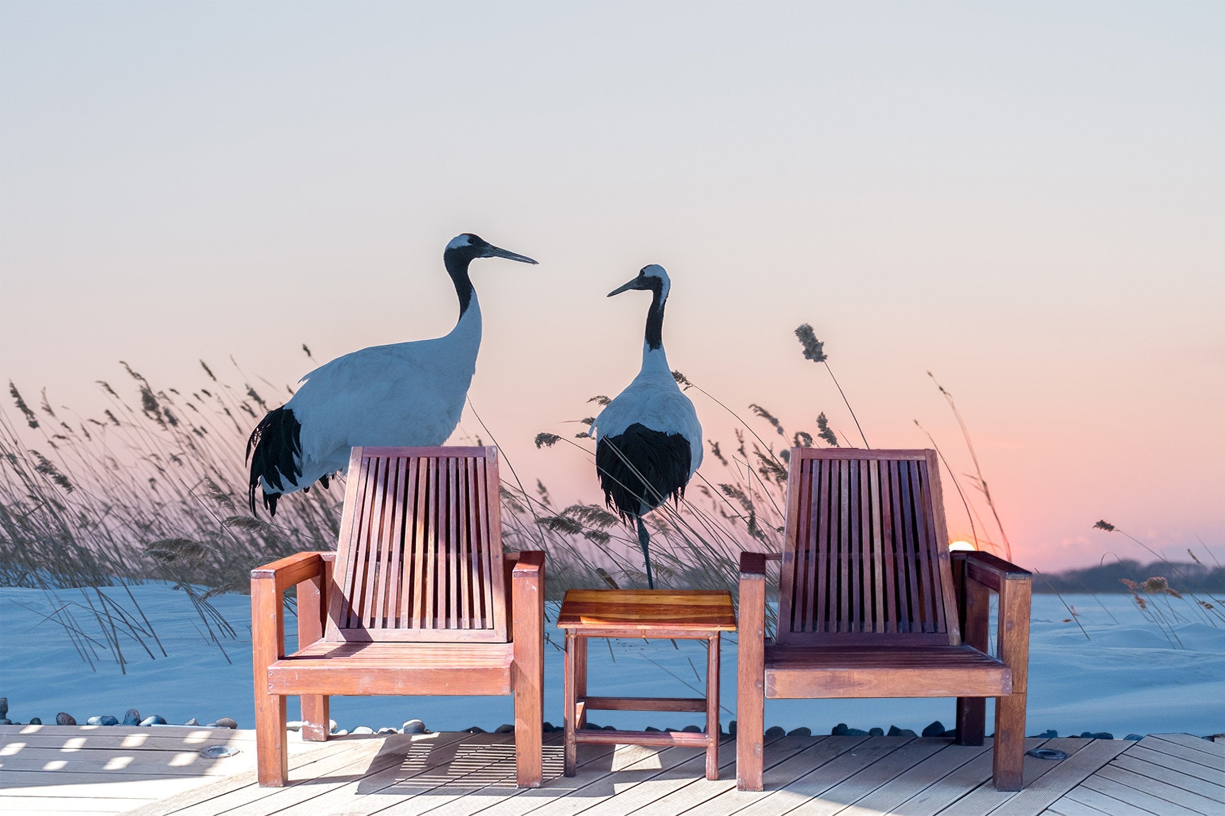 3D Sunset Red-Crowned Crane 070 Wallpaper AJ Wallpaper