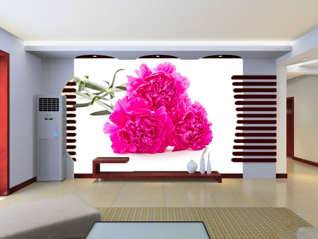 Red Carnations Wallpaper AJ Wallpaper