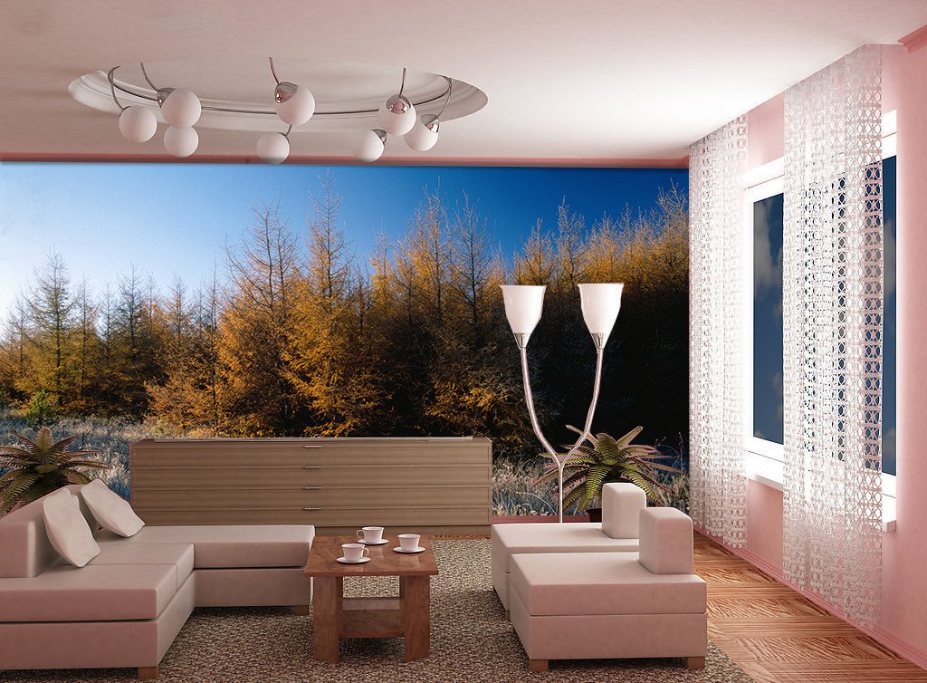 Wilderness Scenery Wallpaper AJ Wallpaper