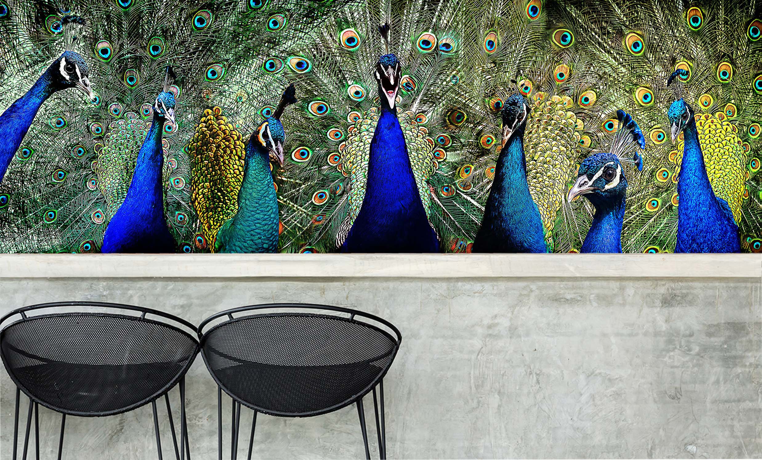 3D Blue Peacock 210 Wall Murals