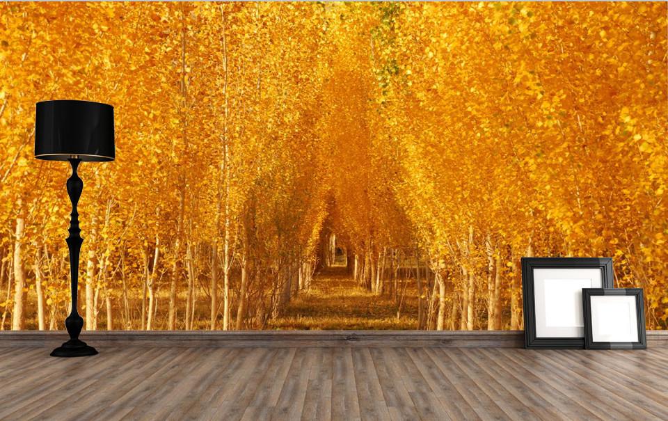 White Birch Forest 1 Wallpaper AJ Wallpaper