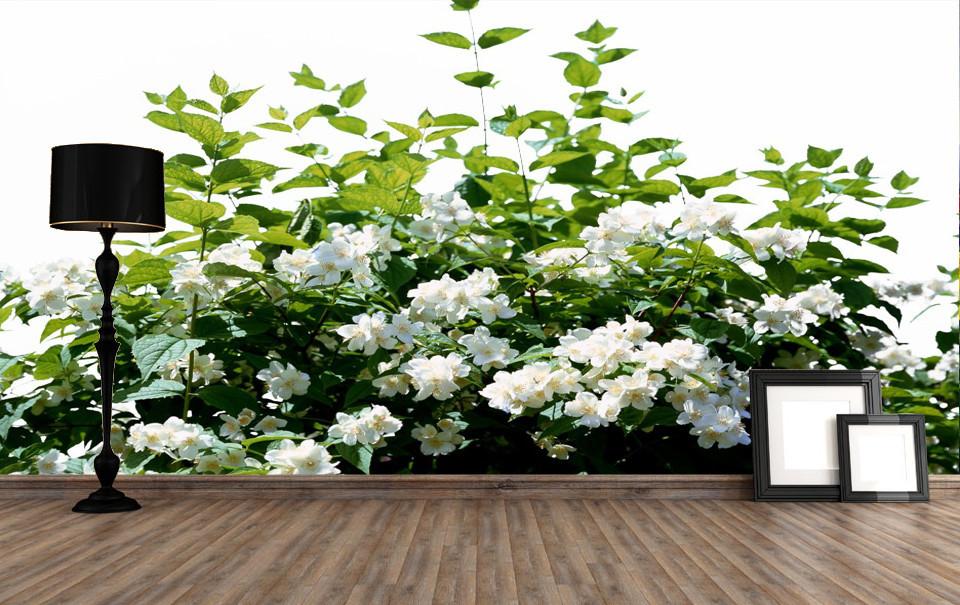 Blooming Tree 2 Wallpaper AJ Wallpaper