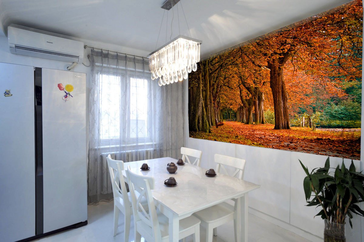 Beautiful Trees Wallpaper AJ Wallpaper