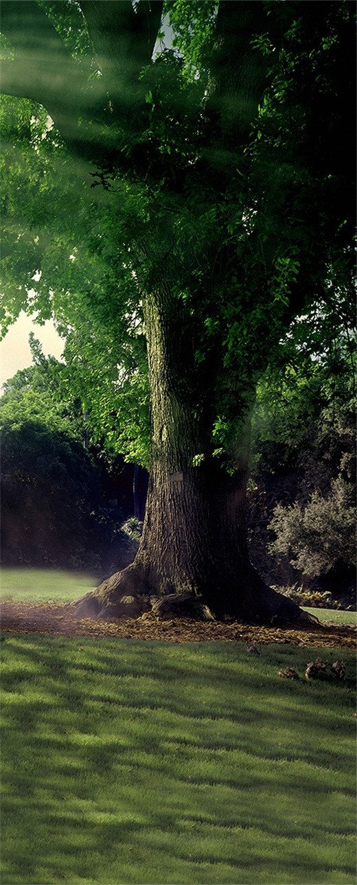 3D tree meadow green door mural Wallpaper AJ Wallpaper