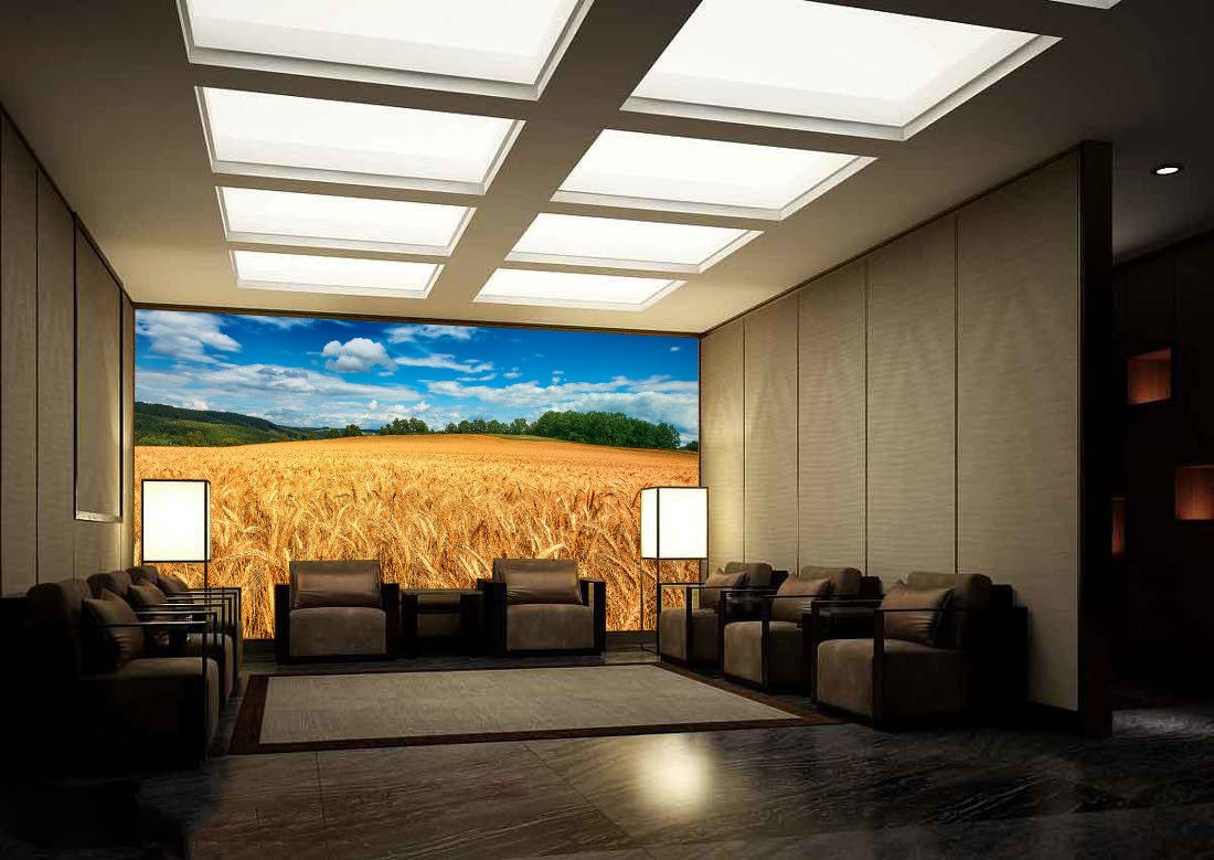 Wheat Fields 94 Wallpaper AJ Wallpaper 1