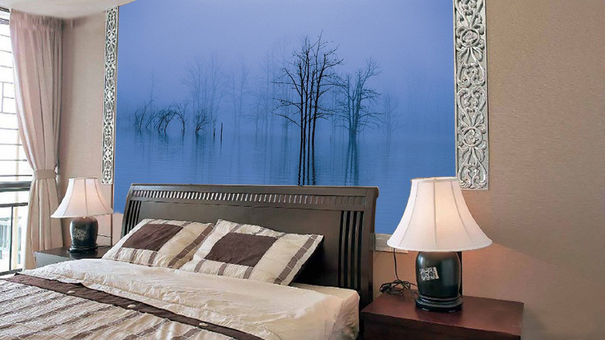 Bare Trees 5 Wallpaper AJ Wallpaper