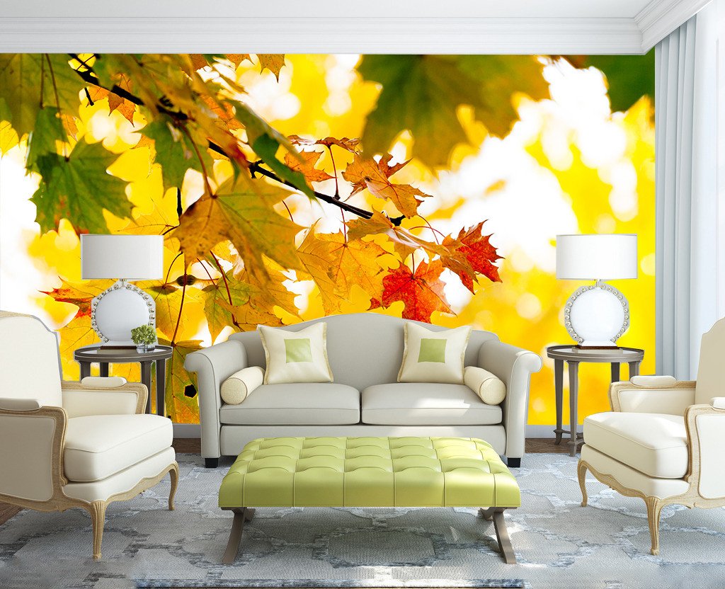 Colorful Maple Leaves Wallpaper AJ Wallpaper