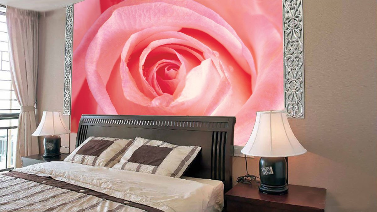 Romantic Pink Rose Wallpaper AJ Wallpaper