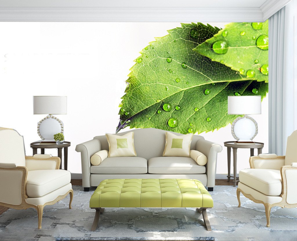 Fresh Dews 1 Wallpaper AJ Wallpaper