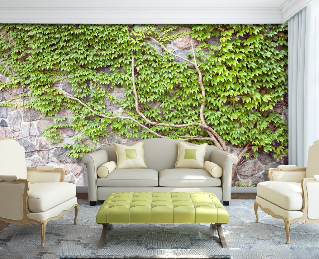 Morning Glory 64 Wallpaper AJ Wallpaper