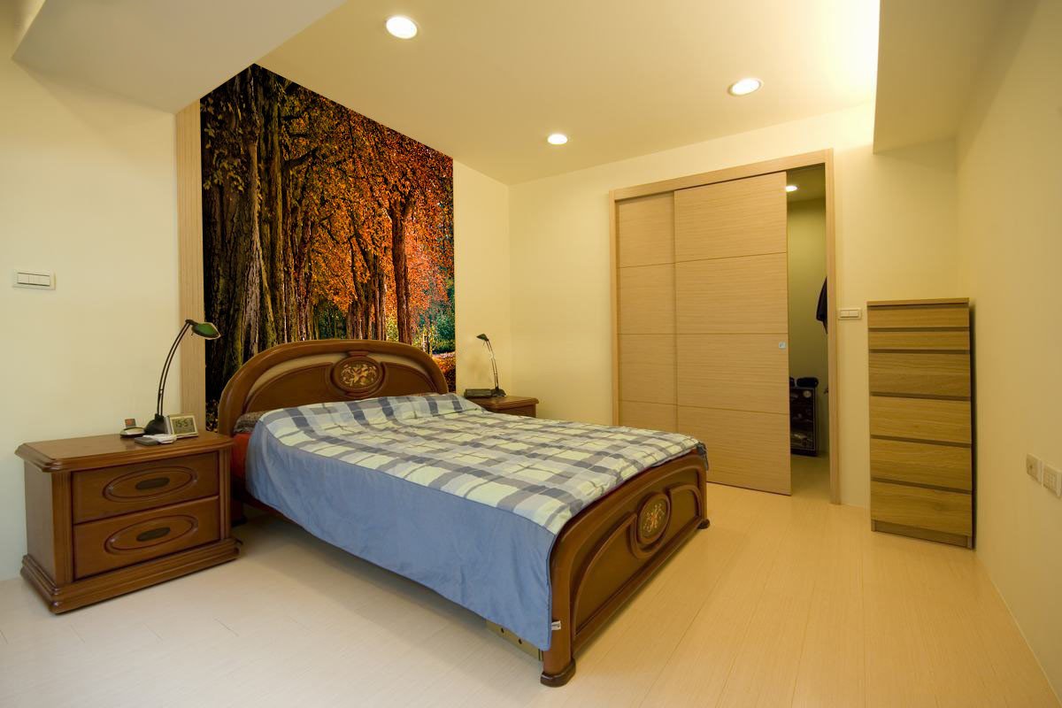 Beautiful Trees Wallpaper AJ Wallpaper