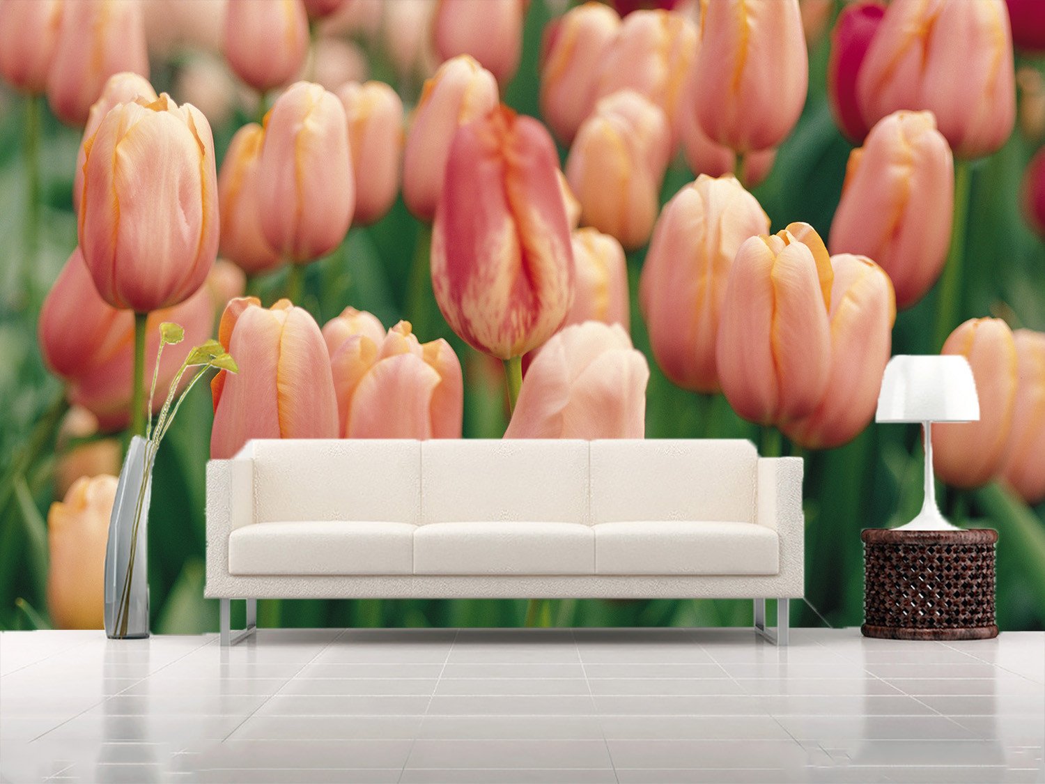 Pink Tulips Field Wallpaper AJ Wallpaper