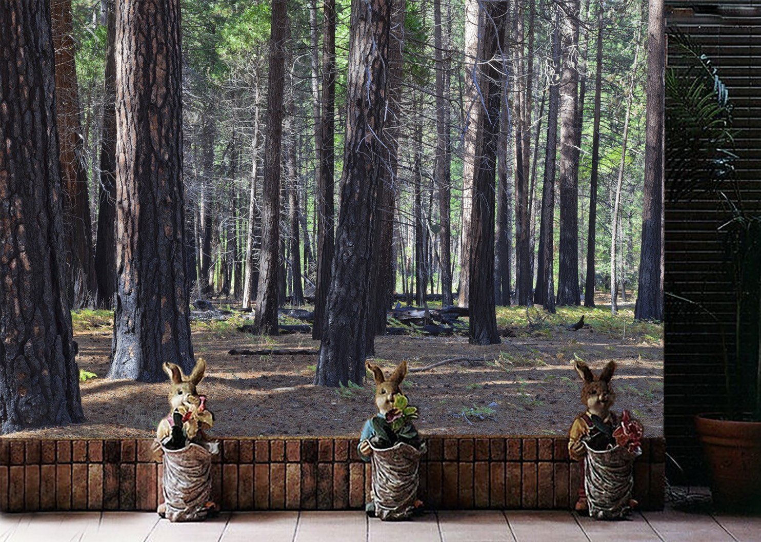 3D Trunk Forest 756 Wallpaper AJ Wallpaper