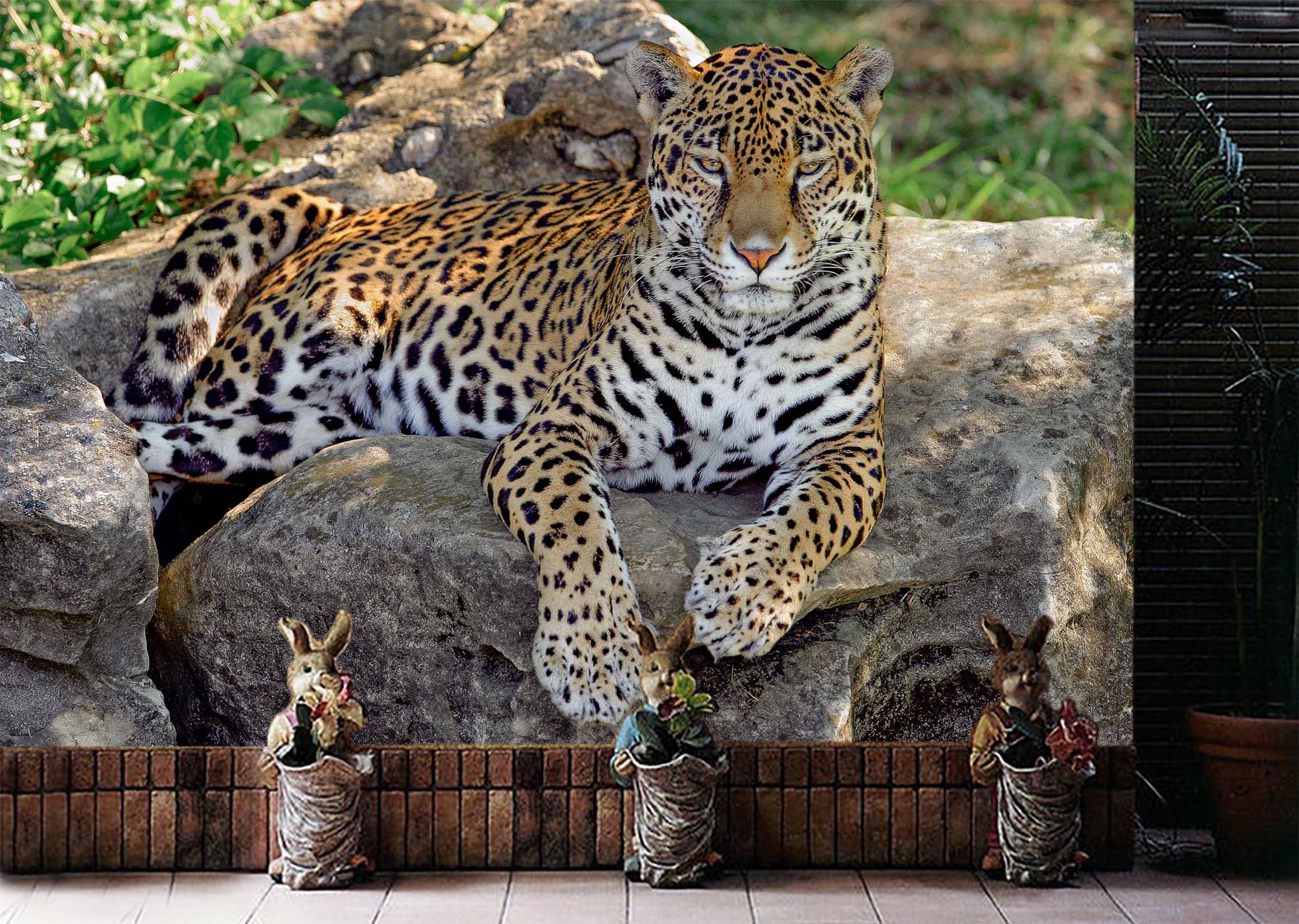 3D Stone Tiger 1067 Wall Murals