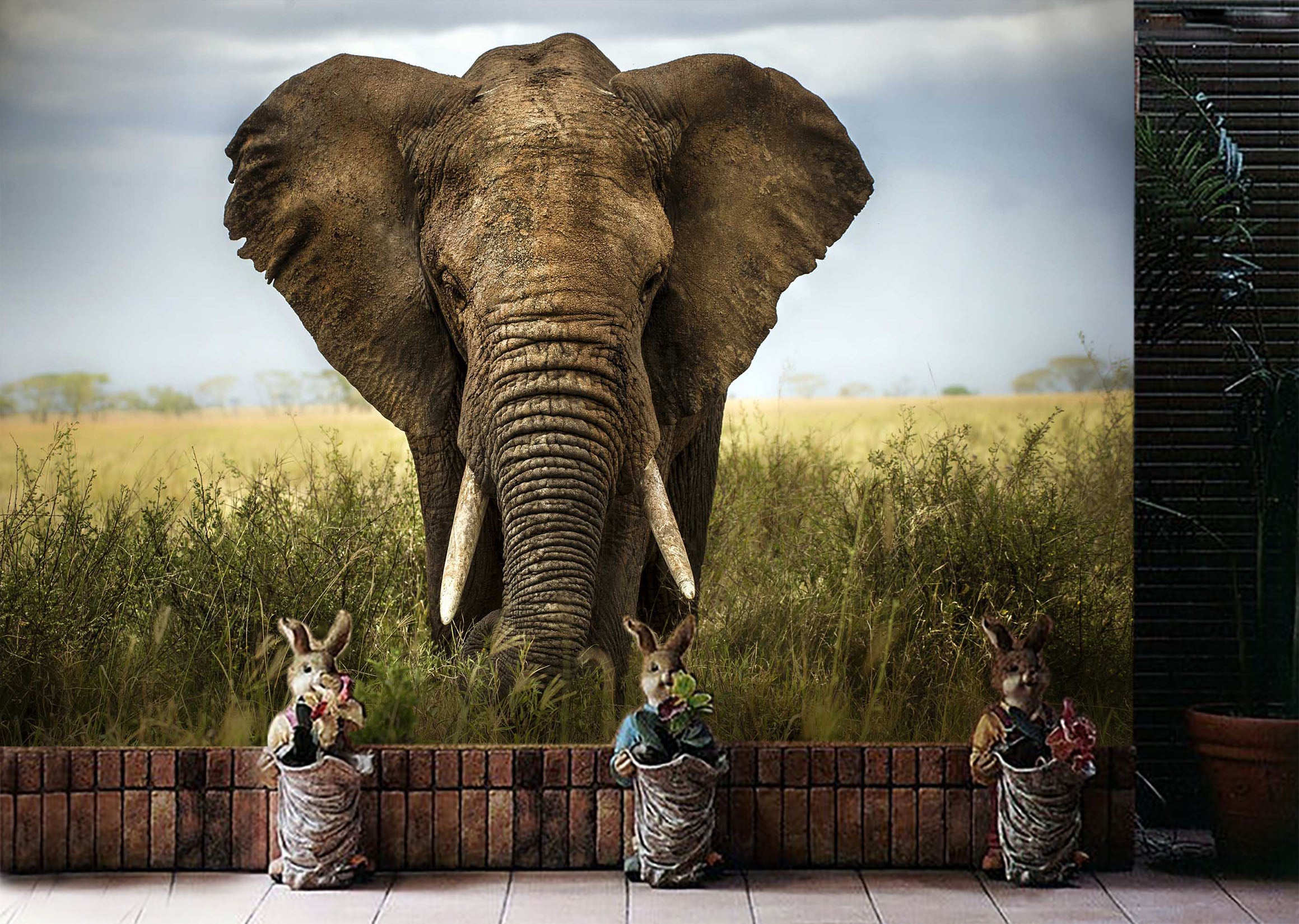 3D Steppe Elephant 1071 Wall Murals