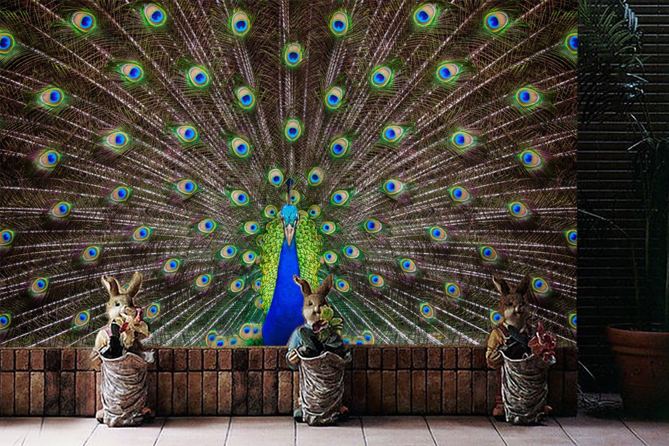 3D Peacock Feather 887 Wallpaper AJ Wallpaper