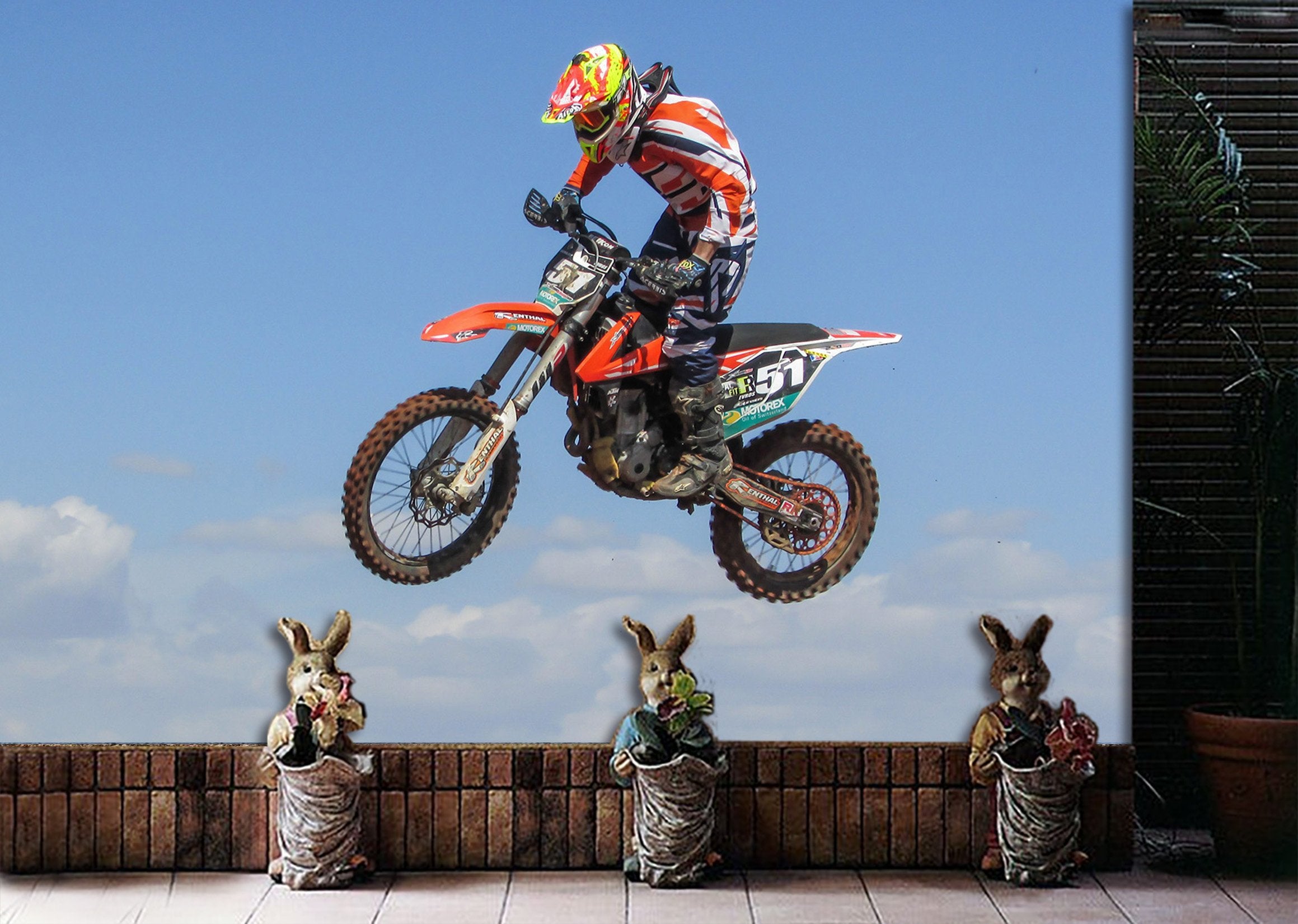 3D Motocross 999 Vehicle Wall Murals Wallpaper AJ Wallpaper 2