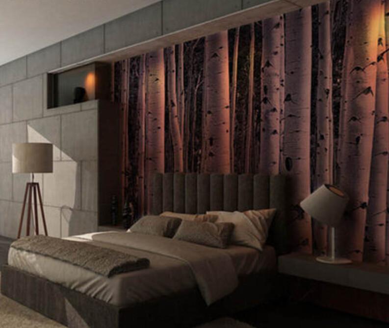 Densely Trees Trunks Wallpaper AJ Wallpaper