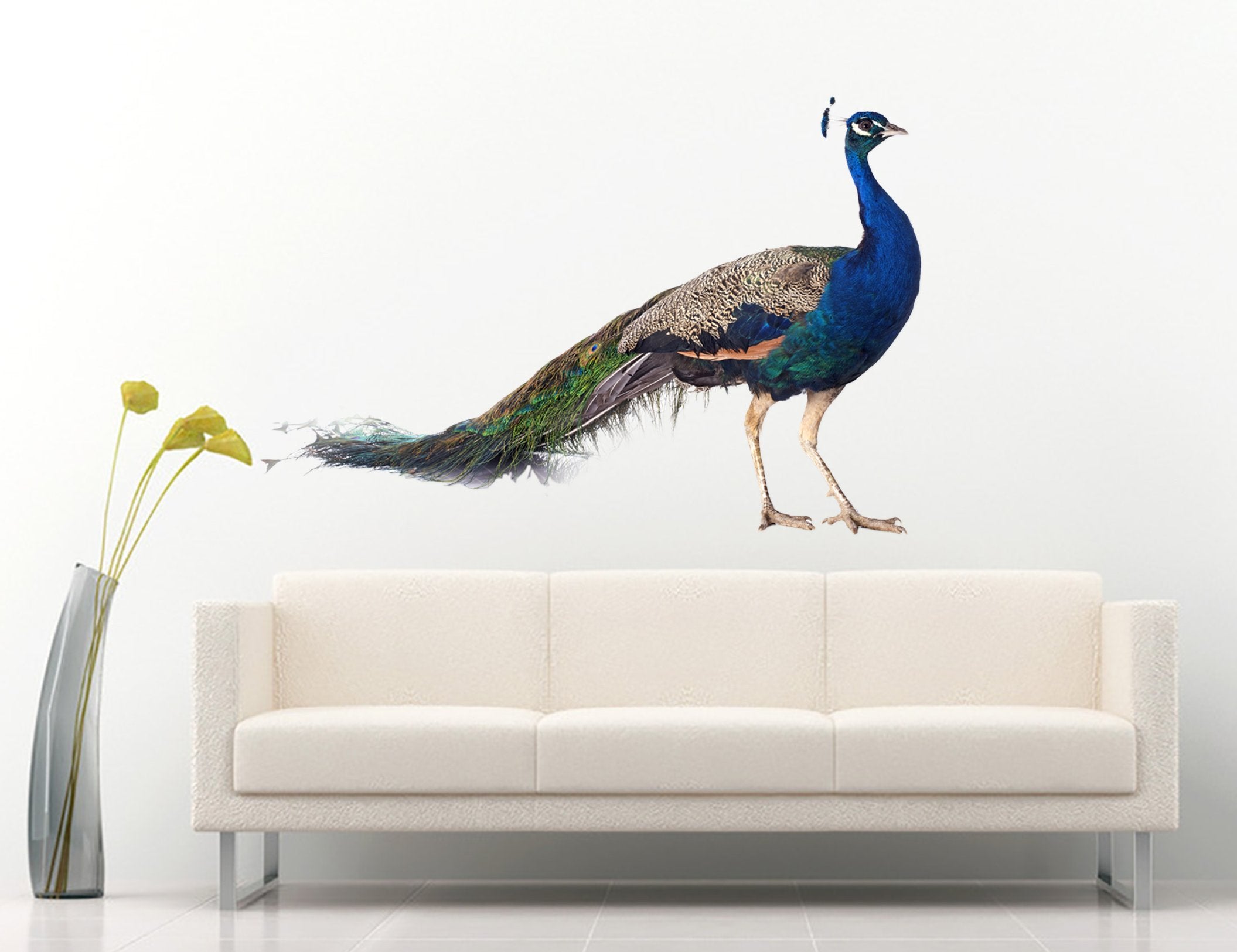 3D Peacock 106 Animals Wall Stickers Wallpaper AJ Wallpaper